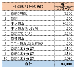 妊婦健診以外の費用